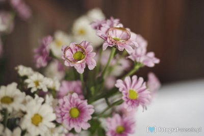 Fotograf na wesele: Piotr, Białystok - portfolio