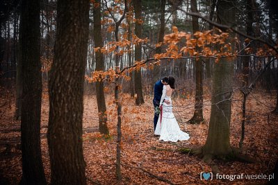 Fotograf na wesele: Magdalena, Szarów - portfolio