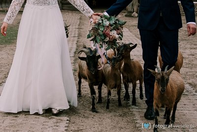 Fotograf na wesele: Marta, Łódź - portfolio