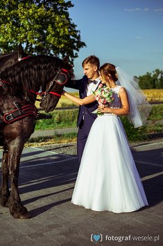 fotograf sluby - Stargard Szczeciński