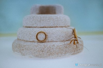 Joanna - fotograf Częstochowa