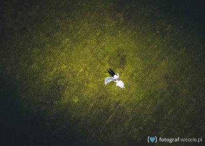 Fotograf na wesele: Adrian, Mielec - portfolio