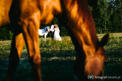 Fotograf na wesele: Leo, Tychy - portfolio