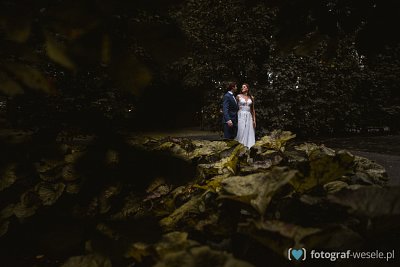 Fotograf na wesele: Mateusz, Gdańsk - portfolio