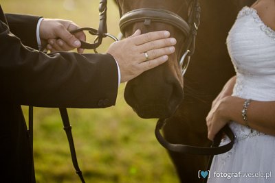 Fotograf na wesele: Paweł, Rybnik - portfolio