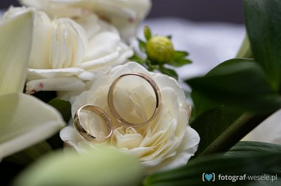 Fotograf na wesele: Michał, Wieliczka - portfolio