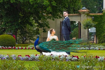 Michał - fotograf Warszawa