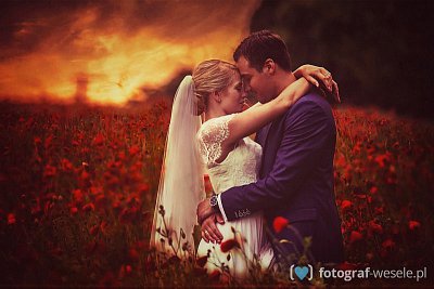 Fotograf na wesele: Tamara i Jola, Zielona Góra - portfolio