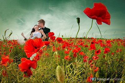 Fotograf Agnieszka, Częstochowa - zdjęcia wesele - Częstochowa