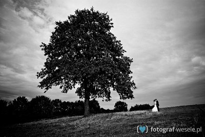 Fotograf Andrzej, Racibórz - fotograf ślub - Racibórz