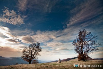 Fotograf na wesele: Piotr, Rybnik - portfolio