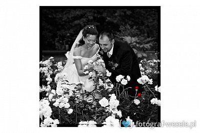 Fotograf na wesele: Robert, Wrocław - portfolio