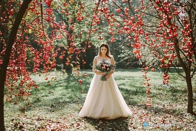 Fotograf na wesele: Cezary, Rzeszów - portfolio