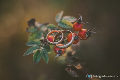 Ewelina i Piotrek - fotograf Kielce