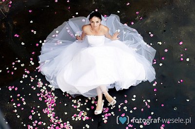 Fotograf na wesele: Irek, Wołów - portfolio