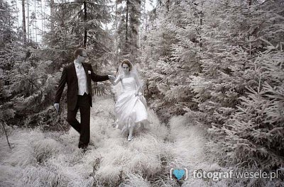 Fotograf na wesele: Tadeusz, Nowy Targ - portfolio