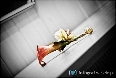 Fotograf na wesele: Mariusz, Turek - portfolio