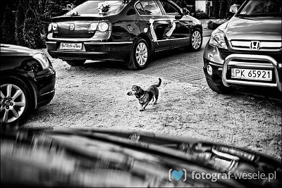 Fotograf na wesele: Łukasz, Wrocław - portfolio