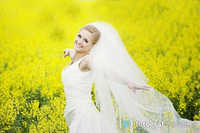 Fotograf Marcin, Sanok - zdjęcia na wesela - Sandomierz