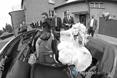 Fotograf Andrzej, Wodzisław Śląski - zdjęcia na ślub - Czechowice-Dziedzice