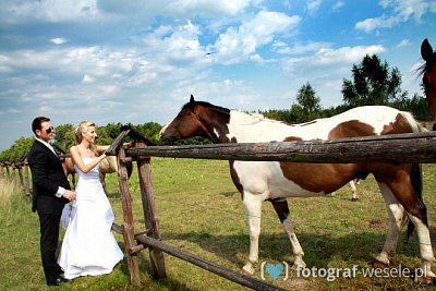 Fotograf Dorota, Radom - zdjęcia ślubne - Zakrzew