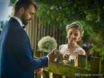 Fotograf na wesele: Karol, Gostyń - portfolio