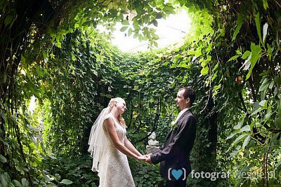 Fotograf na wesele: Piotr, Kraków - portfolio