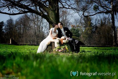 Fotograf na wesele: Beata, Czeladź - portfolio