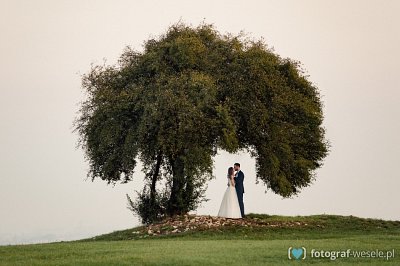 Fotograf na wesele: Marcin, Olkusz - portfolio