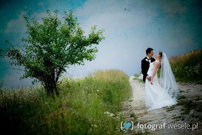 Fotograf Sebastian, Tychy - zdjecia ślub - Zamość