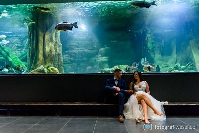 Rafał - fotograf Pszczyna