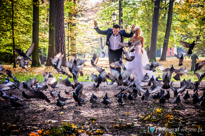 Fotograf na wesele: Mariusz, Katowice - portfolio