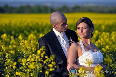 Fotograf na wesele: Piotr, Olkusz - portfolio