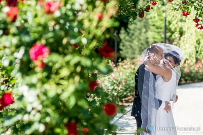 Fotograf na wesele: Marian, Gliwice - portfolio