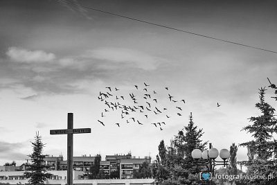 Gabriela i Katarzyna - fotograf Bochnia