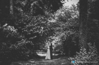 Fotograf na wesele: Katarzyna, Łódź - portfolio