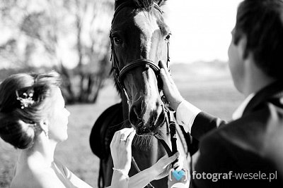 Fotograf na wesele: Piotr, Plewiska - portfolio