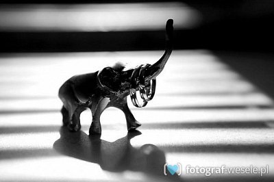 Fotograf Kuba, Warszawa - fotografia na śluby - Wyszków