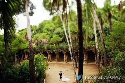 Fotograf na wesele: Michał, Bydgoszcz - portfolio
