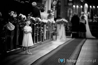 Fotograf na wesele: Aleksander, Lublin - portfolio