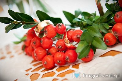 Fotograf Grzegorz, Ostrowiec Świętokrzyski - foto śluby - Skaryszew