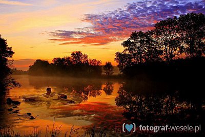 Fotograf Mirosław, Katowice - fotografie na ślub - Siemianowice Śląskie