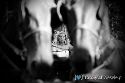 Fotograf na wesele: Paweł, Wrocław - portfolio