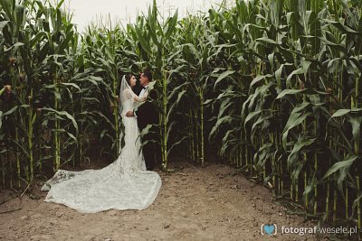 Fotograf na wesele: Piotr, Warszawa - portfolio