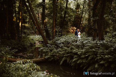 Fotograf Sebastian, Racibórz - zdjęcia wesela - Wodzisław Śląski