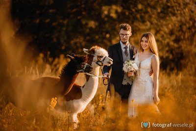 Fotograf na wesele: Mateusz, Rzeszów - portfolio