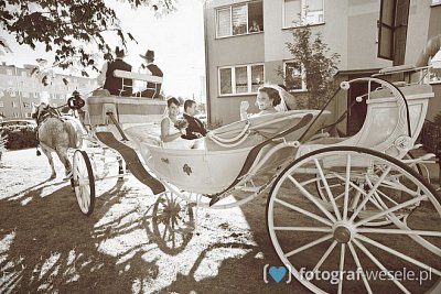 Fotograf na wesele: Tomasz, Ostrołęka - portfolio