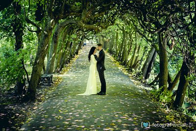 Fotograf na wesele: Rafał, Morąg - portfolio