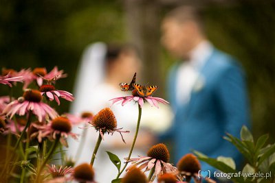 Wojciech - fotograf Gdańsk
