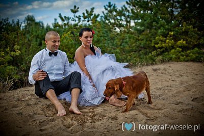 Fotograf na wesele: Marcin , Węgrów - portfolio